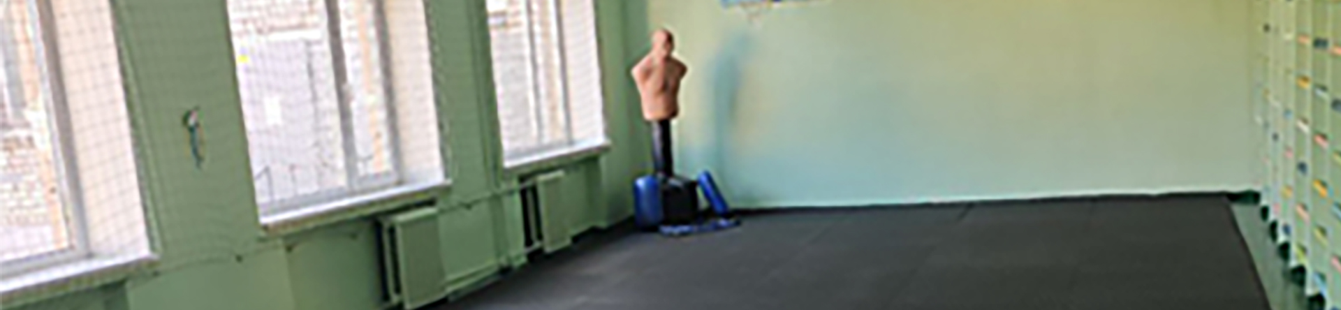 Background вул. Пархоменка, 18А (Ліцей «Вибір»)